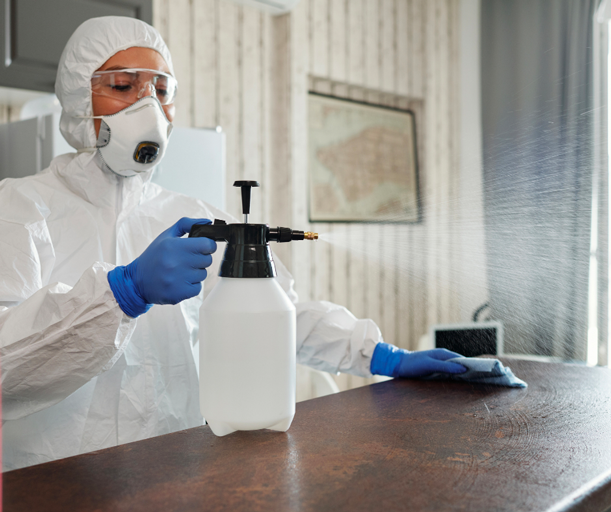 COVID 19 disinfection